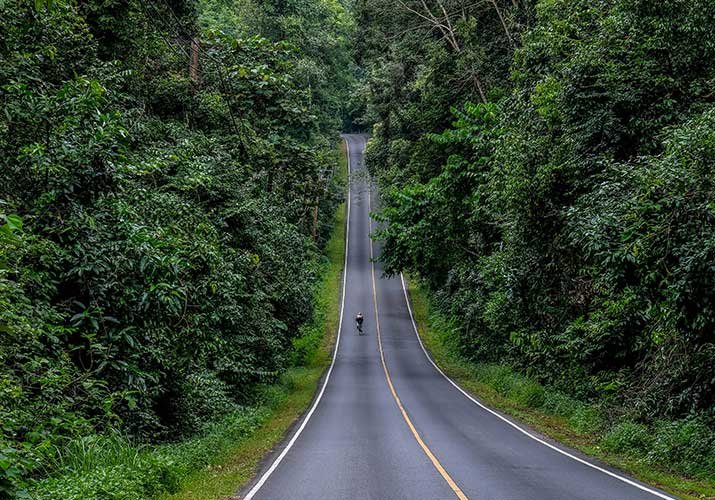 La bicicleta como escape de la realidad en tiempos de pandemia