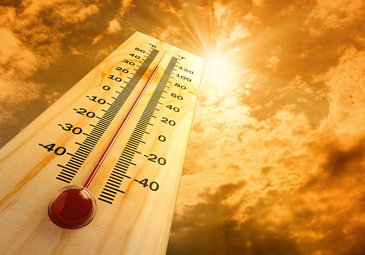 el calor