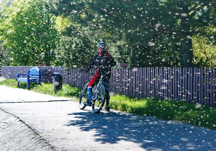 5 formas de protegerse contra los insectos en la bicicleta