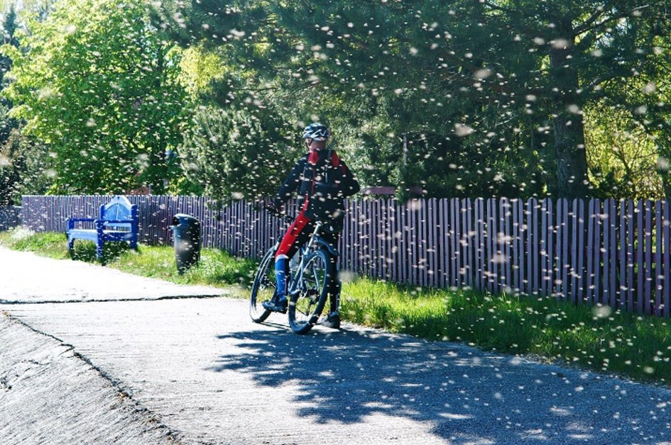 5 formas de protegerse contra los insectos en la bicicleta>