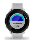 GARMIN FORERUNNER 55 - gris
