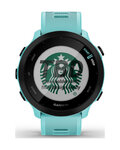 GARMIN relojes inteligentes - FORERUNNER 55 - azul claro