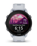 GARMIN relojes inteligentes - FORERUNNER 955 SOLAR - gris