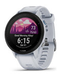 GARMIN relojes inteligentes - FORERUNNER 955 - gris