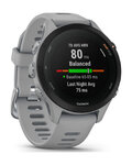 GARMIN relojes inteligentes - FORERUNNER 255S - gris