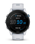 GARMIN relojes inteligentes - FORERUNNER 255 MUSIC - gris