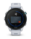 GARMIN relojes inteligentes - FORERUNNER 255S MUSIC - gris