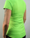 HAVEN jersey de manga corta - AMAZON SHORT - verde/blanco
