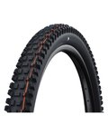 SCHWALBE chaqueta - ALBERT GRAVITY PRO 29x2.50 EVOLUTION 67EPI - negro