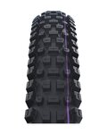 SCHWALBE chaqueta - ALBERT GRAVITY PRO 29x2.50 EVOLUTION 67EPI - negro