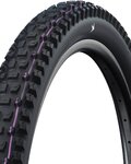 SCHWALBE chaqueta - ALBERT 29x2.50  - negro
