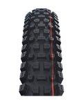 SCHWALBE chaqueta - ALBERT TRAIL PRO 27.5x2.50 EVOLUTION 67EPI - negro