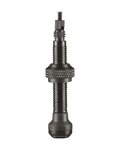 SCHWALBE vástagos tubeless - TUBELESS VALVE 40 mm - negro