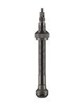 SCHWALBE vástagos tubeless - TUBELESS VALVE 60 mm - negro