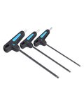 PRO juego de llaves - T-WRENCHES 4/5/6mm - negro