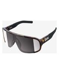 POC Gafas - ASPIRE TORTOISE - marrón