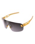 POC Gafas - ELICIT - naranja