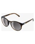 POC Gafas - KNOW TORTOISE - marrón