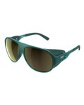 POC Gafas - NIVALIS - verde