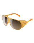 POC Gafas - NIVALIS - naranja