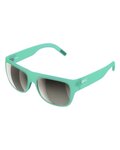 POC Gafas - WANT - verde