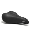 SELLE ROYAL sillín - AVENUDE MODERATE - negro