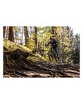 CRANKBROTHERS baratijas - STAMP TRAIL - azul