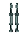 SKS válvula - AIRSPY VALVE TL - negro
