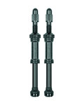 SKS válvula - AIRSPY VALVE TL - negro