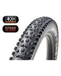 MAXXIS chaqueta - FOREKASTER 3CT/EXO/TR 29x2.60 - negro