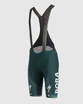 SPORTFUL pantalones cortos de tirantes - BORA 2024 - verde