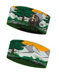 BUFF cinta para la cabeza - COOLNET UV® BEAR - verde/gris/naranja