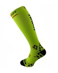 HAVEN medias - EVOTEC SILVER - negro/amarillo
