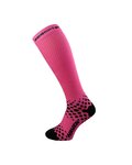 HAVEN medias - EVOTEC COMAX - rosa