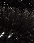 MUC-OFF cepillo de limpieza - TWO PRONG BRUSH