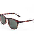Gafas - W11.31 - marrón