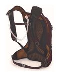 OSPREY mochila - RAVEN 10 LADY - púrpura