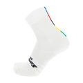 SANTINI calcetines clásicos - UCI RAINBOW - blanco