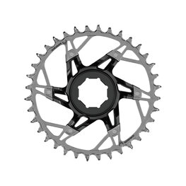 SRAM Convertidor - XX T-TYPE 34T - plateado/negro
