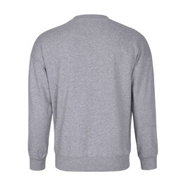 HOLOKOLO sudadera - PELOTON - gris/multicolor