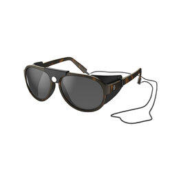 SCOTT Gafas - CERVINA - marrón/negro
