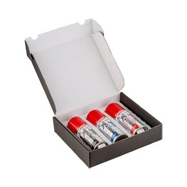 CYCLON BIKE CARE Kit de limpieza para eBike - E-BIKE COLLECTION BOX 3x100 ml