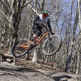 LIMAR casco - DELTA MTB - verde