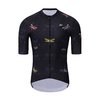 DRAGONFLIES ELITE